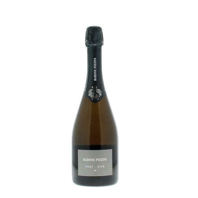 FRANCIACORTA BARONE PIZZINI TESI DUE