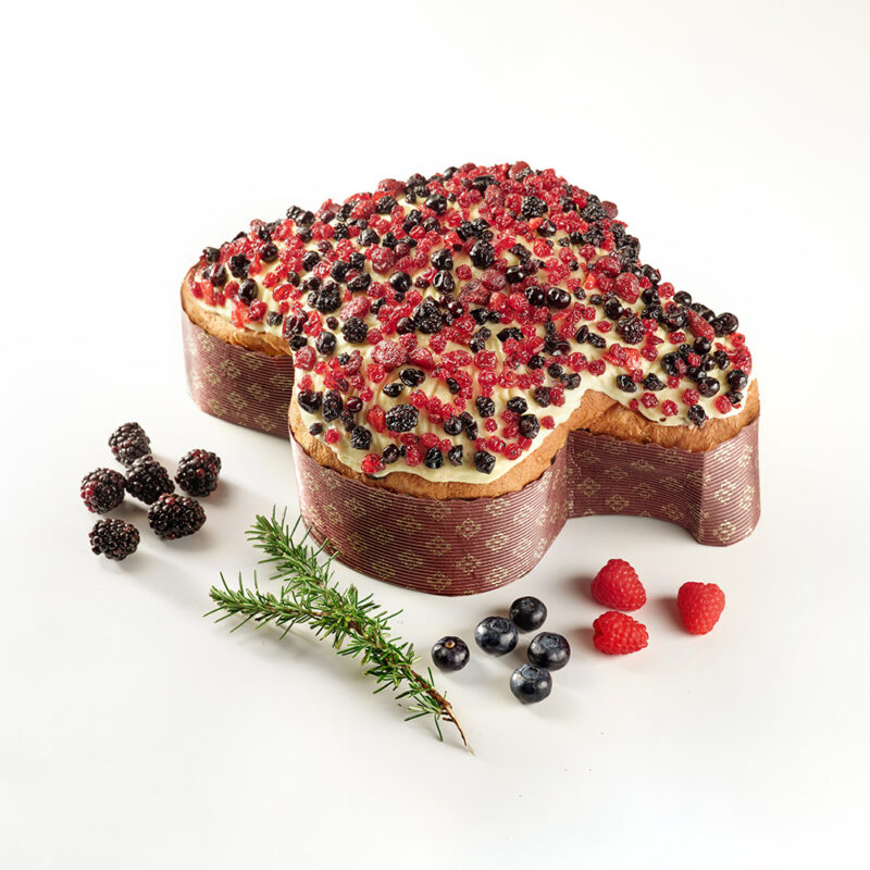 COLOMBA SAL DE RISO SOTTOBOSCO